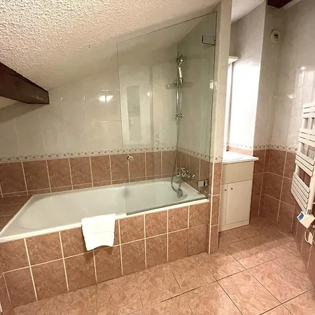 Apartment Duplex Centre Pour 6 Avec Parking Et Wifi - Fr-1-343-240 Chamonix